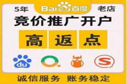 竞价推广代运营案例：ROI最大化策略分享